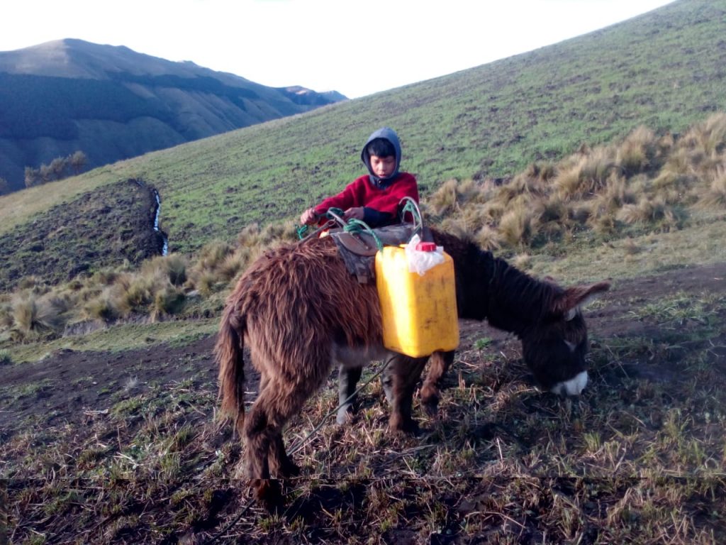 Niño en paramo
